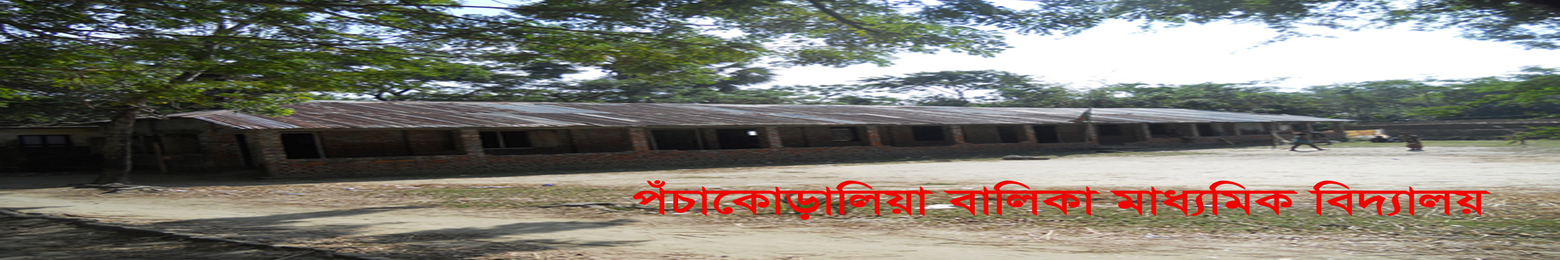 পঁচাকোড়ালিয়া বালিকা মাধ্যমিক বিদ্যালয়