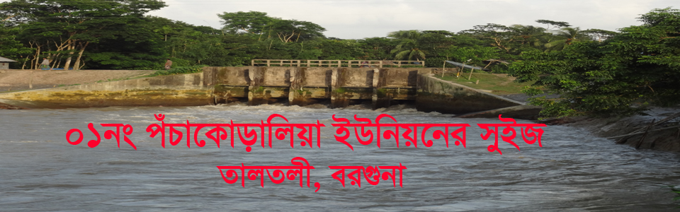 পঁচাকোড়ালিয়া ইউনিয়নের স্লুইজ