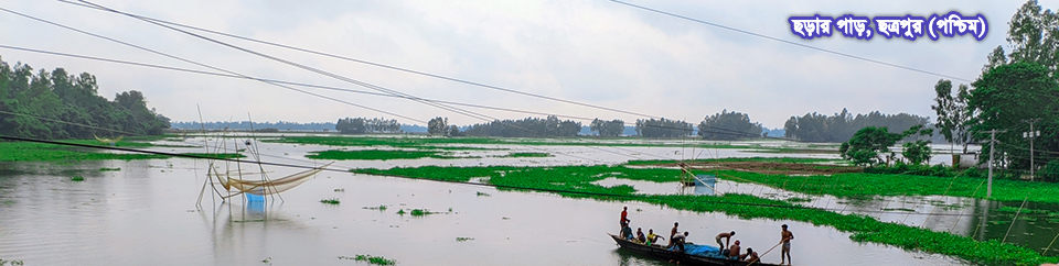 ছড়ার পাড়