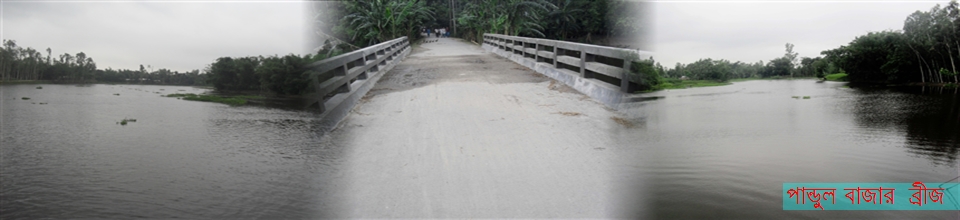 পান্ডুল বাজার ব্রীজ