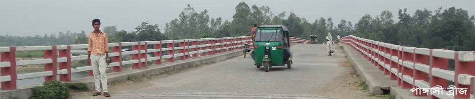 পাঙ্গাসী ব্রীজ