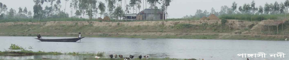 পাঙ্গাসী নদী