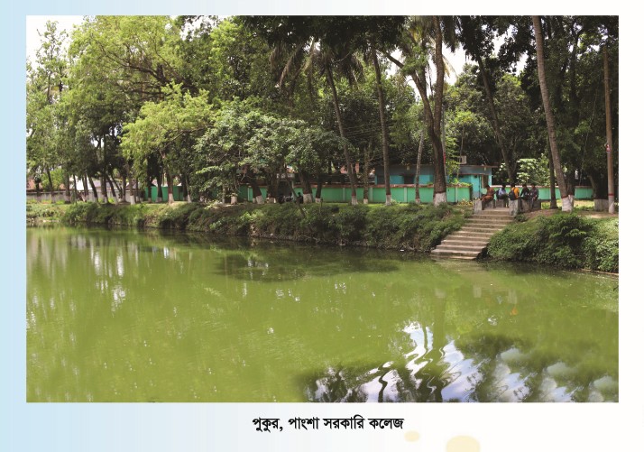 কলেজ পুকুর