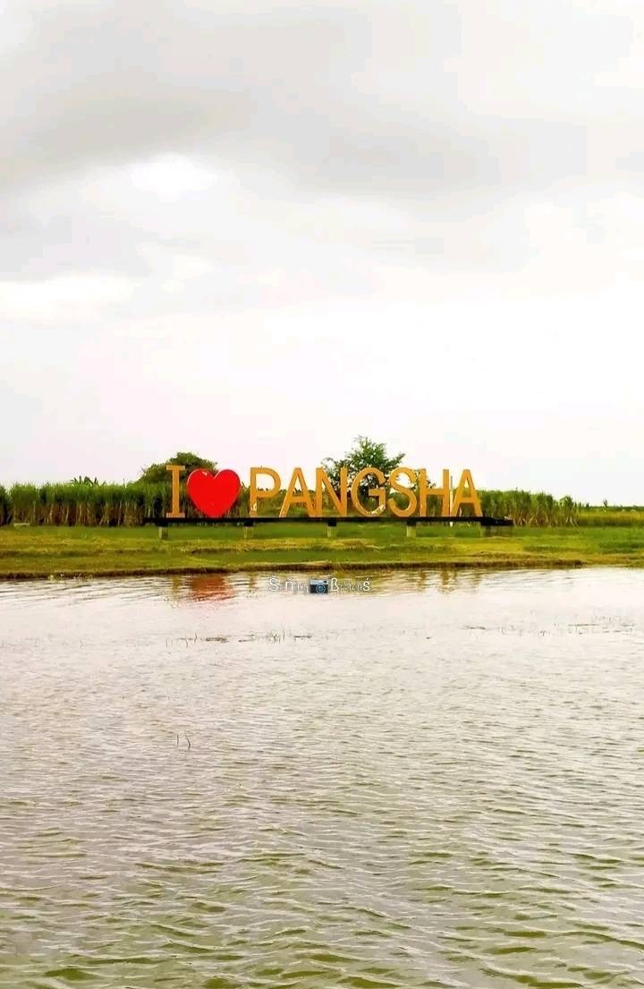 পাংশা১