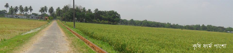 কৃষি ফার্ম