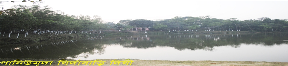পানিউমদা ঘির্দা বাড়ী দীঘি