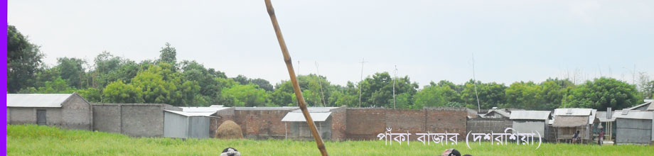 পাঁকা বাজার (দশ রশিয়া)