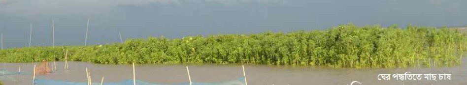 ঘের পদ্ধিতিতে মাছ আহরণ