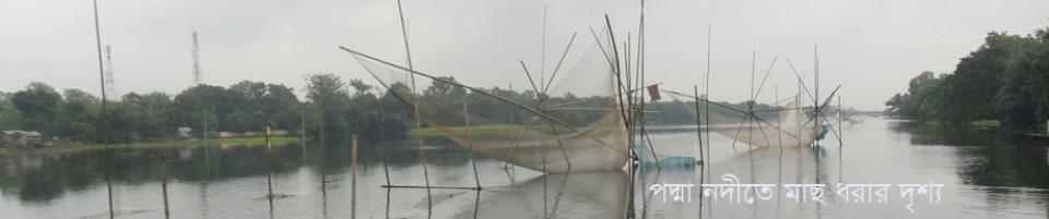 মাছ ধরার দৃশ্য