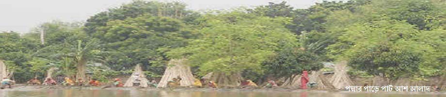 পাট হতে আঁশ ছড়াচ্ছে।