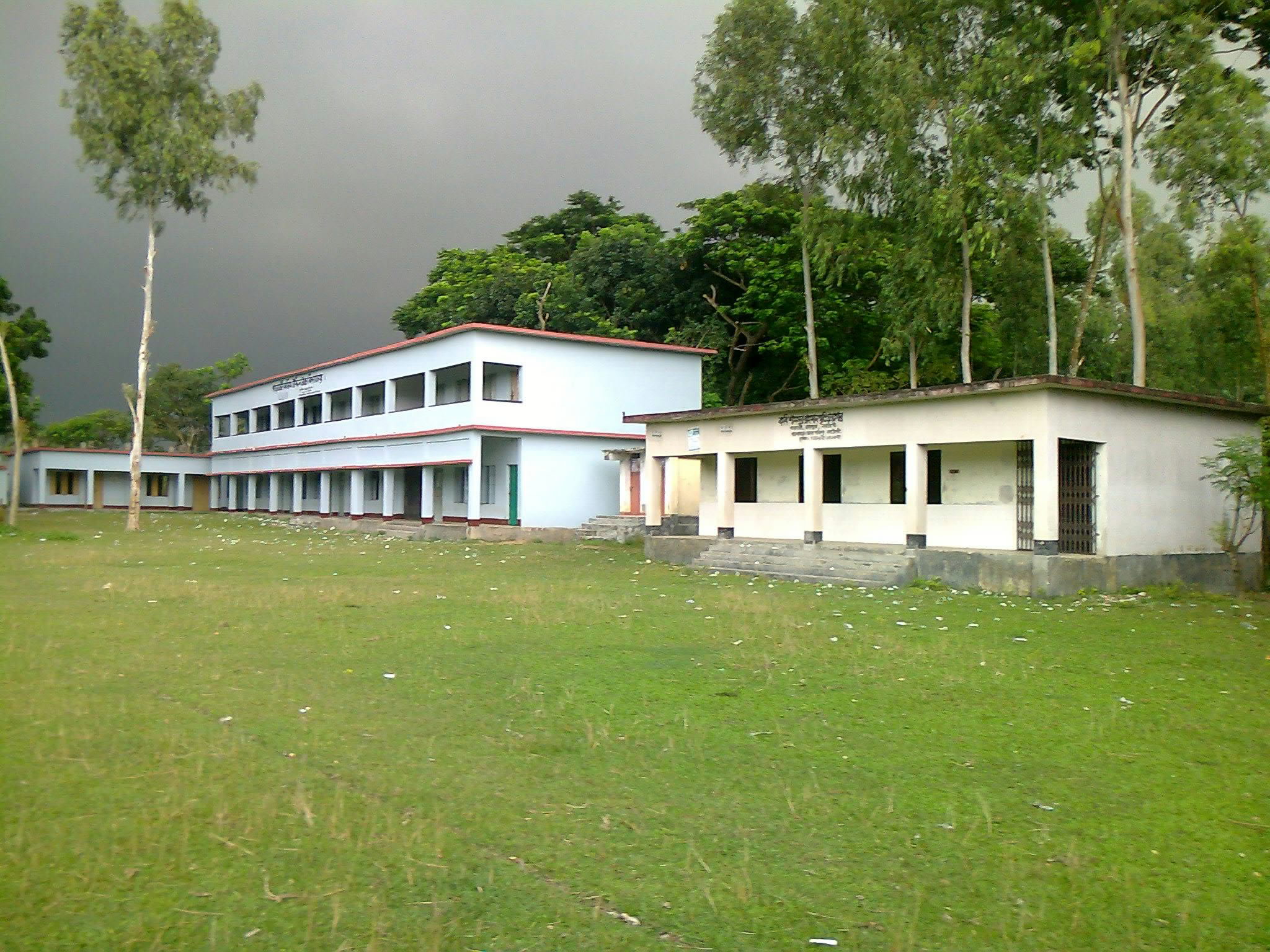 পাড়াতলী কলিম উদ্দিন উচ্চ বিদ্যালয়