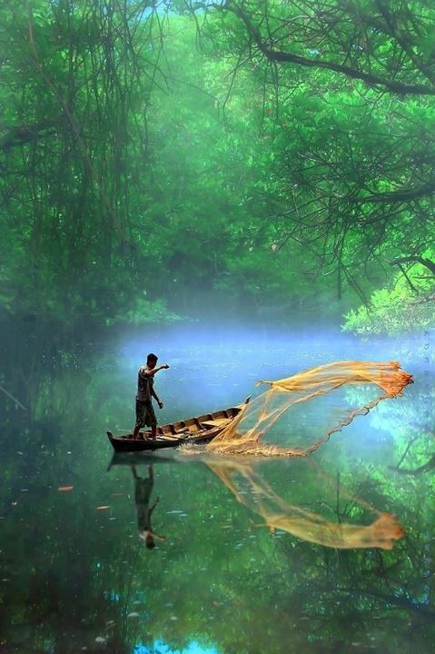 ফটো গ্যালারী