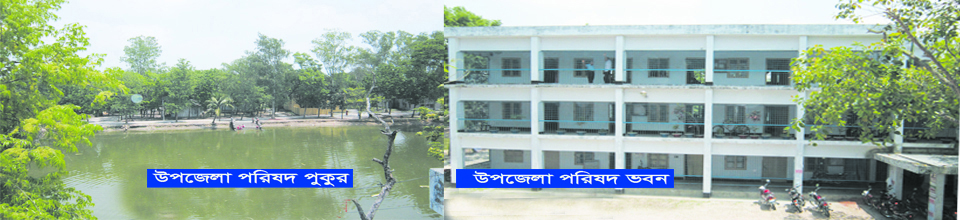 উপজেলা পরিষদ পুকুর ও ভবন