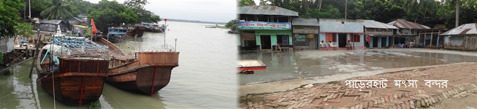 পাড়েরহাট মৎস্য বন্দর