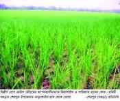 কৃষি ও প্রাণিসম্পদ