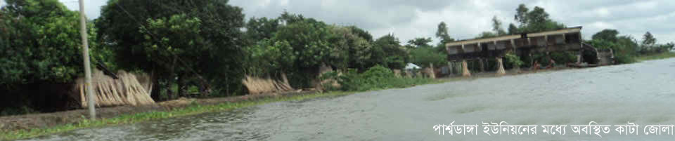 পার্শ্বডাঙ্গা ইউনিয়ন দিকসিবিলর কাটা জোলা