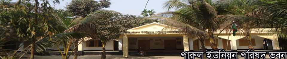 পারুল ইউনিয়ন চত্তর