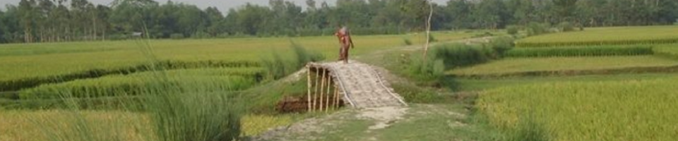 গ্রামীন রাস্তা