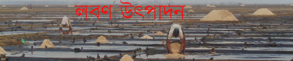 লবণ উৎপাদন ক্ষেন্দ্র