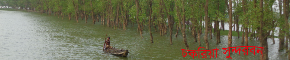 চকরিয়া সুন্দরবন