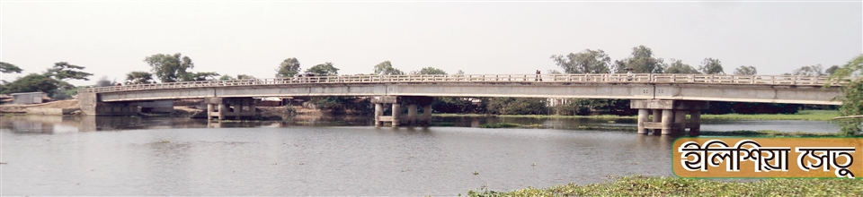 পশ্চিম বড় ভেওলা ইউনিয়নের অন্তরগত ইলিশিয়া-সেতু