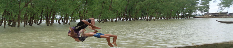 প্যারাবন