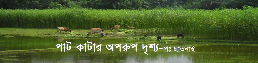 পাট কাটার অপূর্ব দৃশ্য