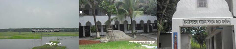 বাসাইলভোগ মাদ্রাসা