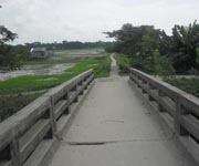 স্থানীয় সরকার
