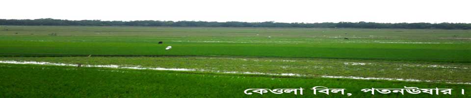 পতনঊষার ইউনিয়ন