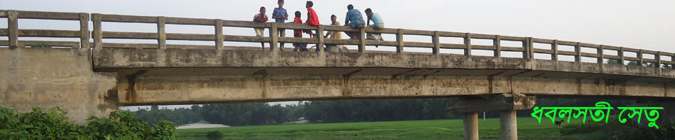 ধবলসতীর সেতু
