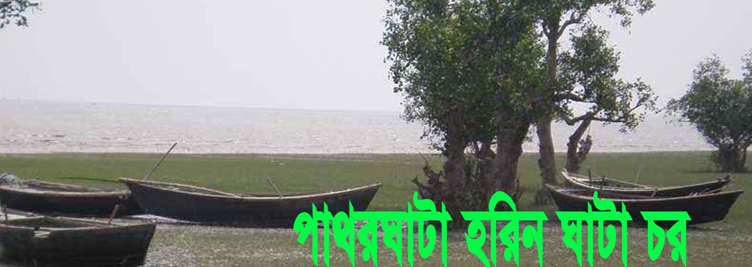 হরিন ঘাটা