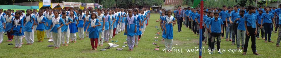 পারুলুয়া তফশিলী স্কুল এন্ড কলেজ