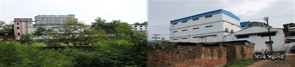 বিসিক
