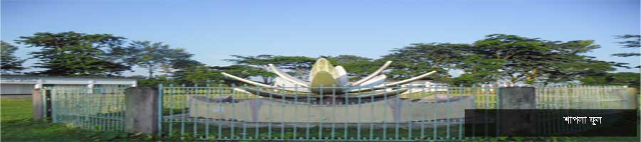 শাপলা ফুল