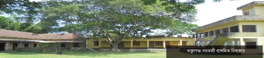 রসুলগঞ্জ সরকারী প্রাথমিক বিদ্যালয়