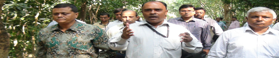 চেয়ারম্যান মহোদয়