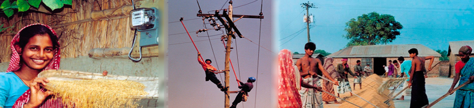 ব্যানার-৪