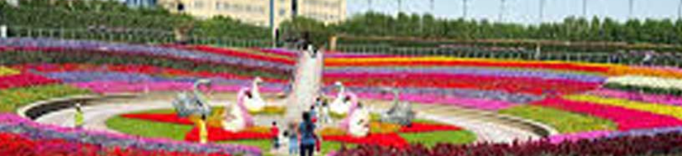 ব্যানার