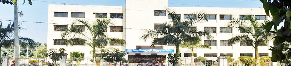 পল্লী বিদ্যুতায়ন-৩