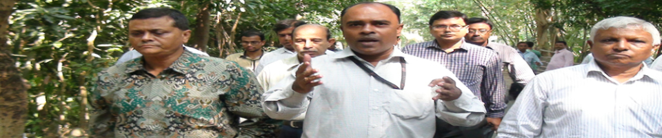 চেয়ারম্যান মহোদয়