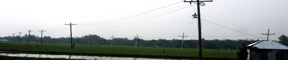 বিদ্যুতায়িত লাইন