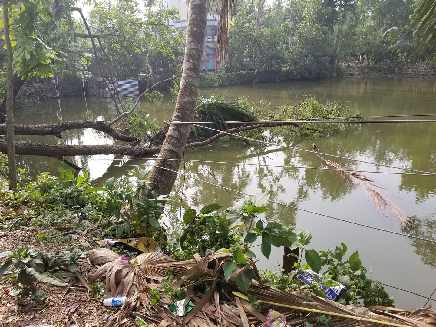 গত ০৩/০২/২০২০ ইং তারিখ ঝড়ে বিধ্বস্ত মাদারীপুর পবিসের টেকেরহাট জোনাল অফিসের বিতরন লাইনের আলোকচিত্র।