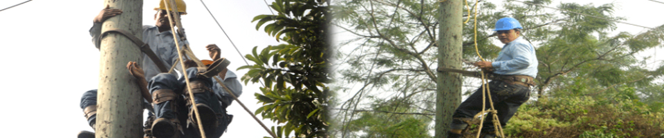 বিদ্যুৎ লাইন রাক্ষণাবেক্ষণ