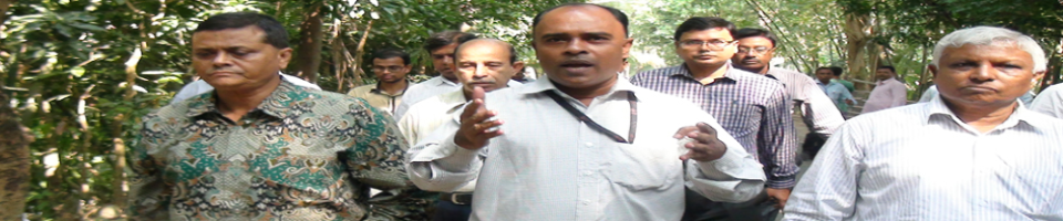 চেয়ারম্যান মহোদয়