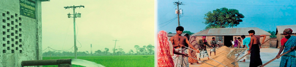 গ্রামীন কর্মকান্ড সমূহ