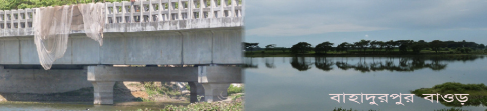 ব্যানারের ছবি