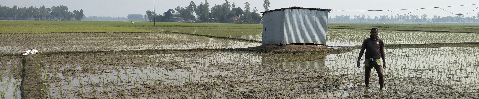 বিদ্যুৎ চালিত মোটর দ্বারা সেচ
