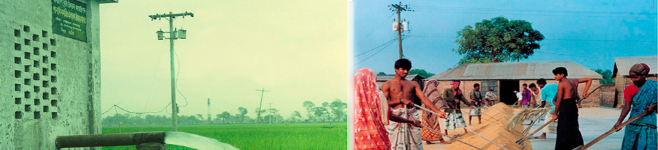 বাপবিবো-২