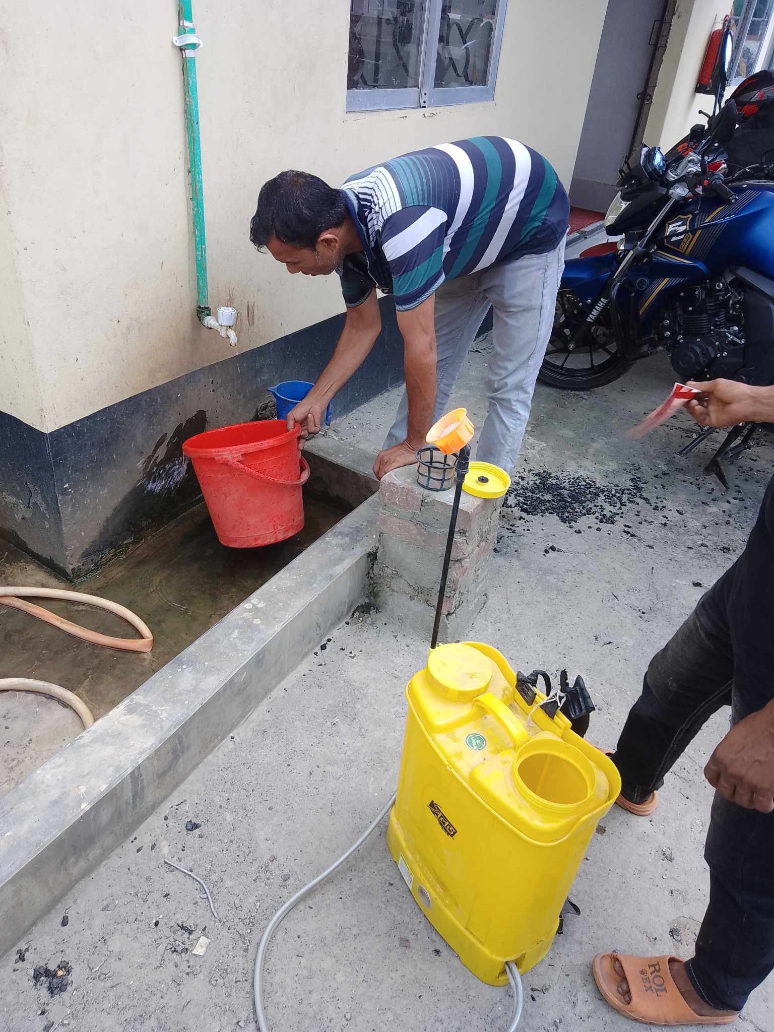 ডেঙ্গু প্রতিরোধ ব্যবস্থা